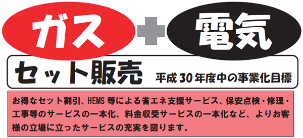 発電分野への進出とガスと電気のセット販売